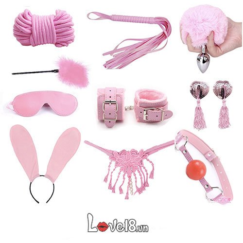 Bộ đồ chơi bạo dâm 10 món màu hồng cao cấp
