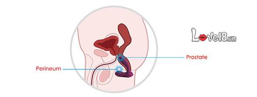 Máy Rung Điểm G Svakom Vicky Kích Thích Cực Mạnh