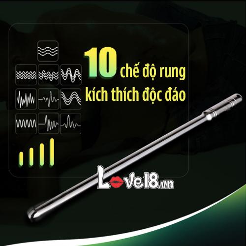 Bán Thanh rung kích thích niệu đạo điều khiển 10 chế độ  cao cấp