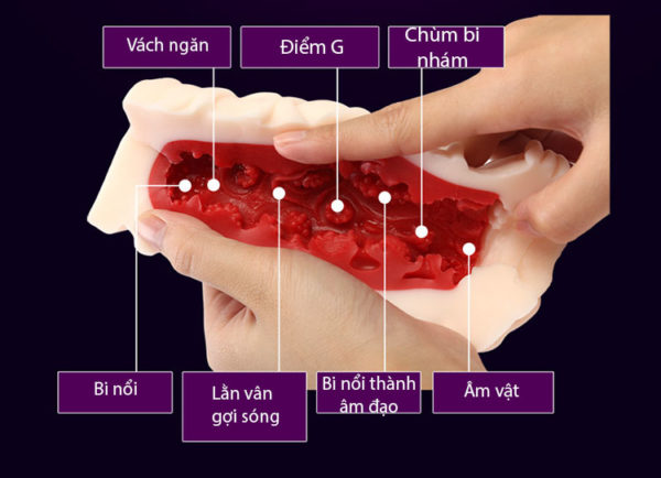 Âm đạo giả Leten silicon trần ruột 3D siêu thật kích thích