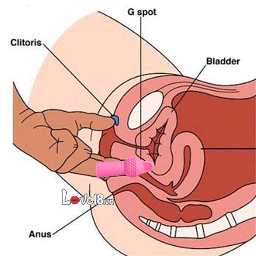 Bao Cao Su Ngón Tay Gai Kéo Dài Đam Mê Tăng Khoái Cảm