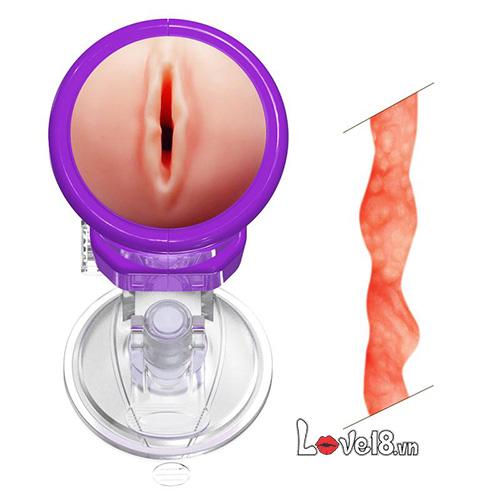 Phân phối Cốc Thủ Dâm Gắn Tường Dream Girl  mới nhất