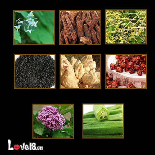 Chai xịt xuất tinh sớm thảo dược Nhật kéo dài quan hệ