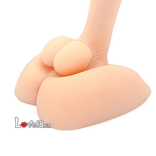 Đại lý Dương vật và lỗ hậu môn cao cấp  giá tốt