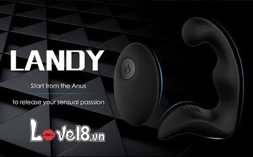 Giá sỉ Máy massage hậu môn và tuyến tiền liệt S-Hande Landy RCT  loại tốt