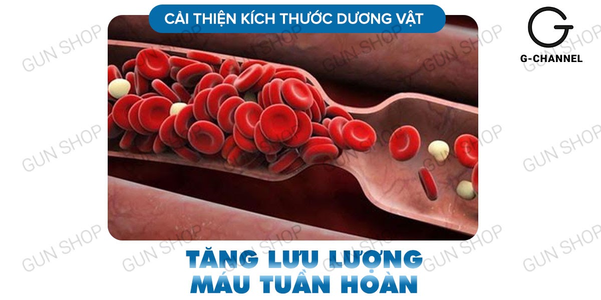 Maxman chính hãng tăng cường sinh lý cương dương chống xuất tinh sớm hộp 10 viên