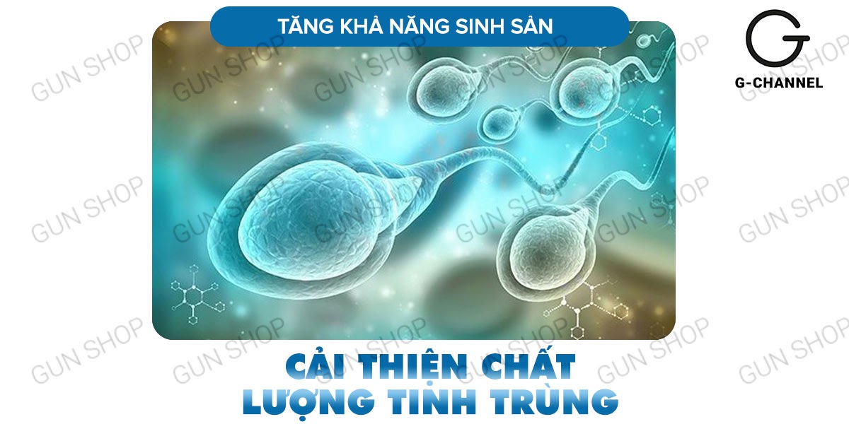 Maxman chính hãng tăng cường sinh lý cương dương chống xuất tinh sớm hộp 10 viên