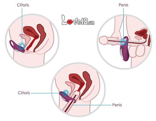 Vòng đeo dương vật Svakom Winni đẳng cấp tăng khoái cảm