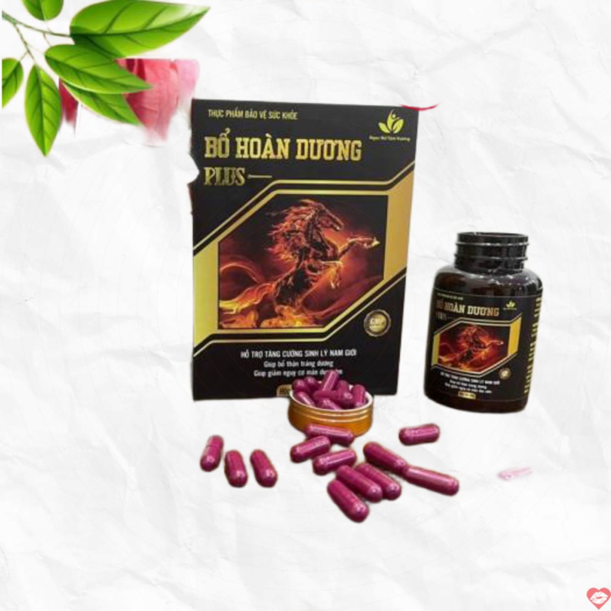Bổ Hoàng Dương Plus - Thảo dược tăng cường sinh lý nam hiệu quả 