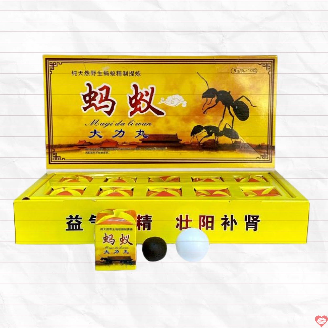 Kiến Càng Đen Tây Tạng hộp 10 viên tăng cường sinh lý nam tốt 
