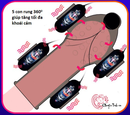 Bao rung quy đầu massage kích thích dương vật 5 cục