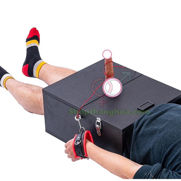 Hộp dụng cụ tra tấn nam giới phong cách nữ hoàng sang trọng tiện dụng