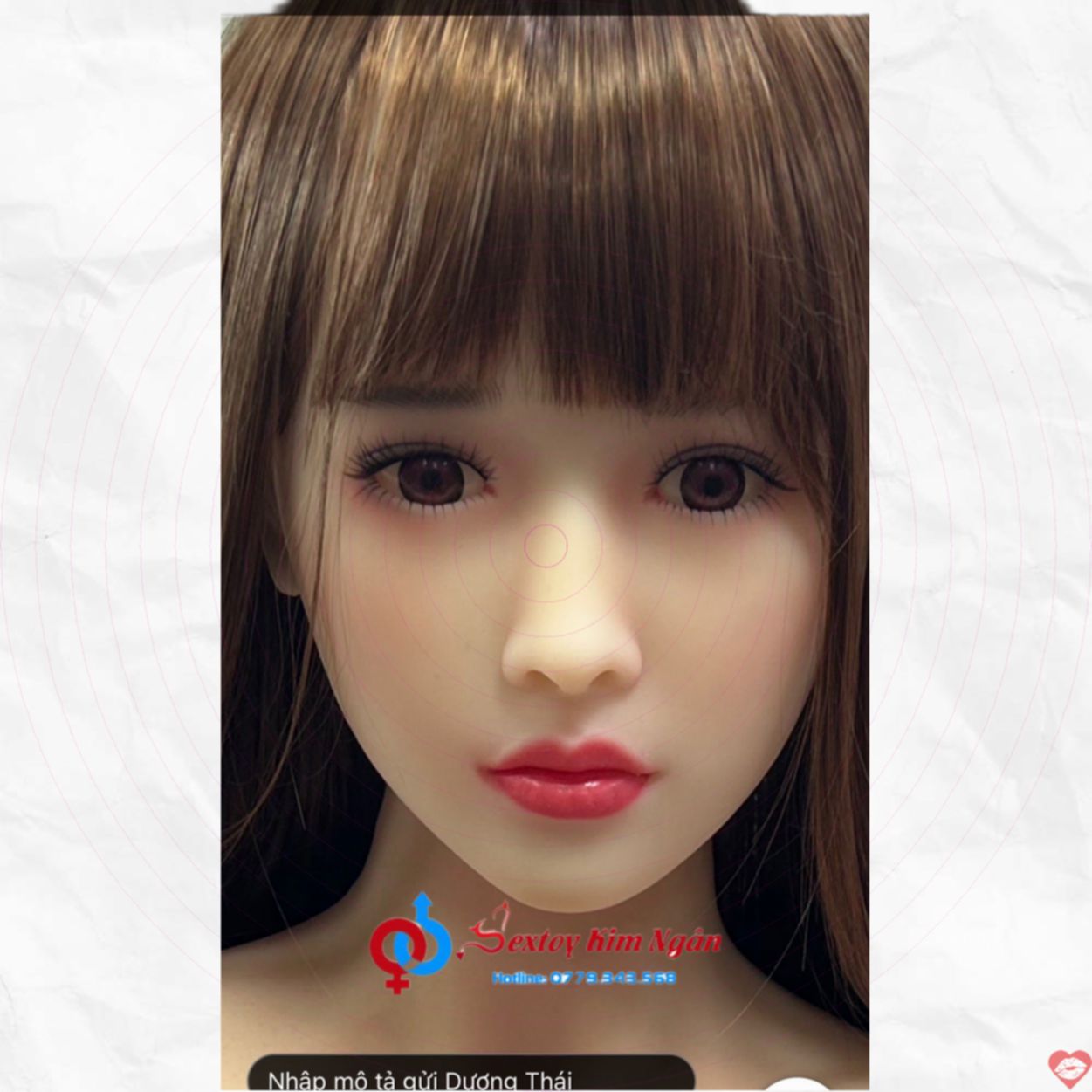 Đầu đơn tpe 11