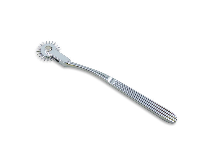 Đồ Chơi SM Cây Cọ Gai Mạ Kim Kích Thích Mua Ngay