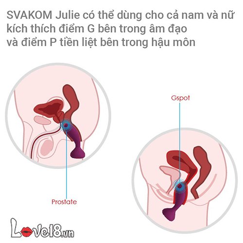  Địa chỉ bán Dụng cụ kích thích hậu môn có điều khiển Svakom Julie chính hãng