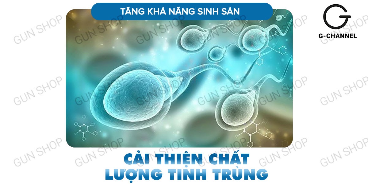  Kho sỉ Viên uống hỗ trợ cương dương tăng cường sinh lý Maxman - Hộp 10 viên tốt nhất